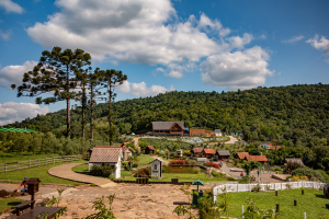 Olivas de Gramado