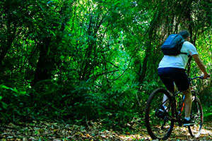 Bike Poço Preto - Passeio de bicicleta nas Cataratas