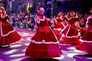 Ingresso Desfile Natal Luz - Lounge Premium